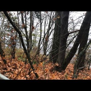 Meet your Posher, Trang